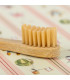 Pack de 4 cepillos de dientes de bambú para niños Pandoo