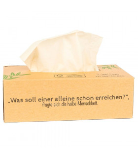 Pañuelos de papel ecológico bambú Pandoo