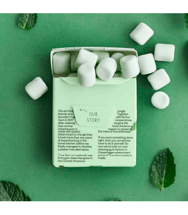 Parte trasera paquete de chicles de menta sin azúcar True Gum.