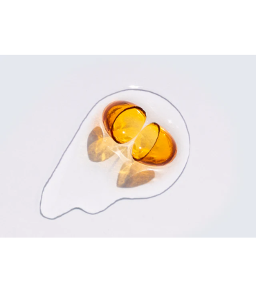 Cápsula de Vitamina D3 de Puori con Aceite de coco