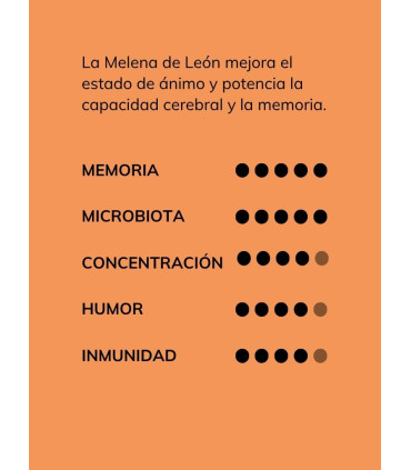 Tabla beneficios Gummies melena de León