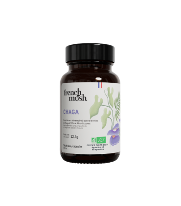 Chaga French Mush
