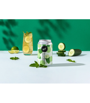 Kombucha de Pepino con Menta
