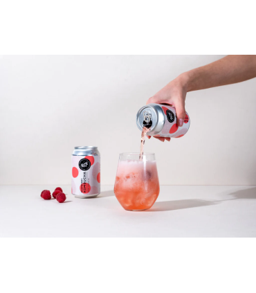 Kombucha Ecológica Frambuesa