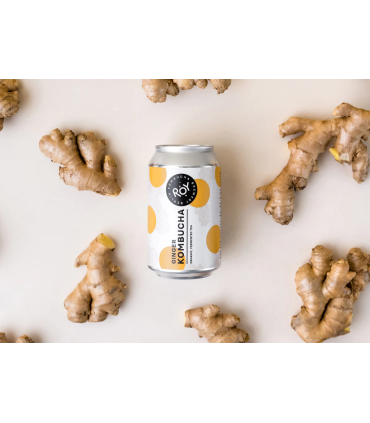 Kombucha de Jengibre