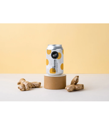 Kombucha de Jengibre