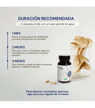 Fotografía con datos sobre el Maitake y La Seta ostra