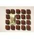 Mini Trufa CocoHagen BIO Avellanas 20gr